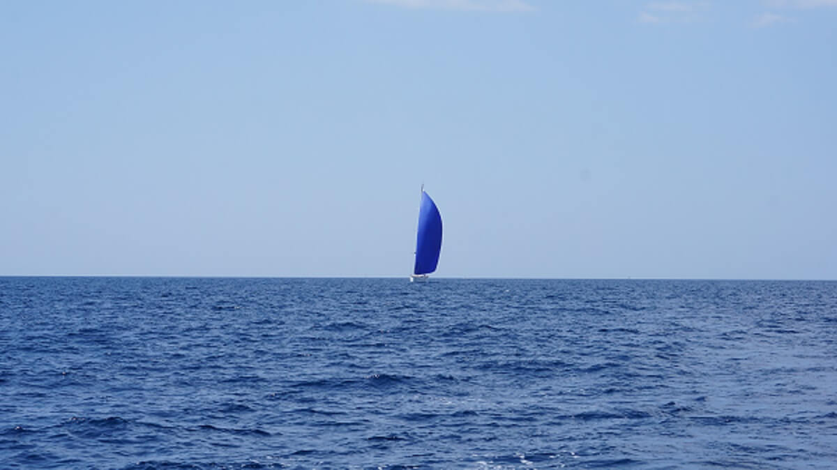 single sailboat with the blue sail