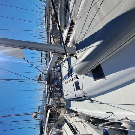 Sun Odyssey 490 / Mirrmurr (2023)