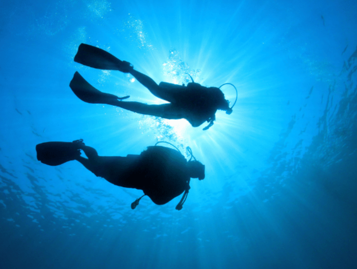 Potapljanje na Hrvaškem: najboljše lokacije za potapljanje in podvodna čudesa