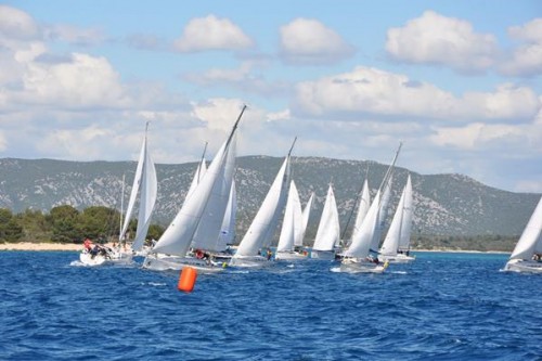 sailiboat regatta